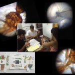 Innovación y solidaridad