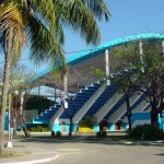 Homofobia y… ¿tolerancia? u oportunismo revolucionario