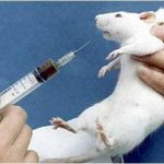 Testamento de un conejillo de Indias…en Cuba